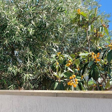 Santa Beach House Santa Marinella Exterior photo